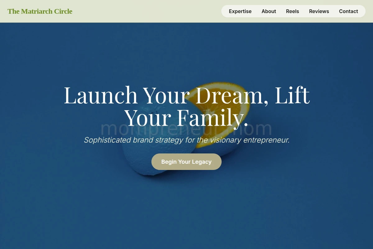 shine Brand Strategy
